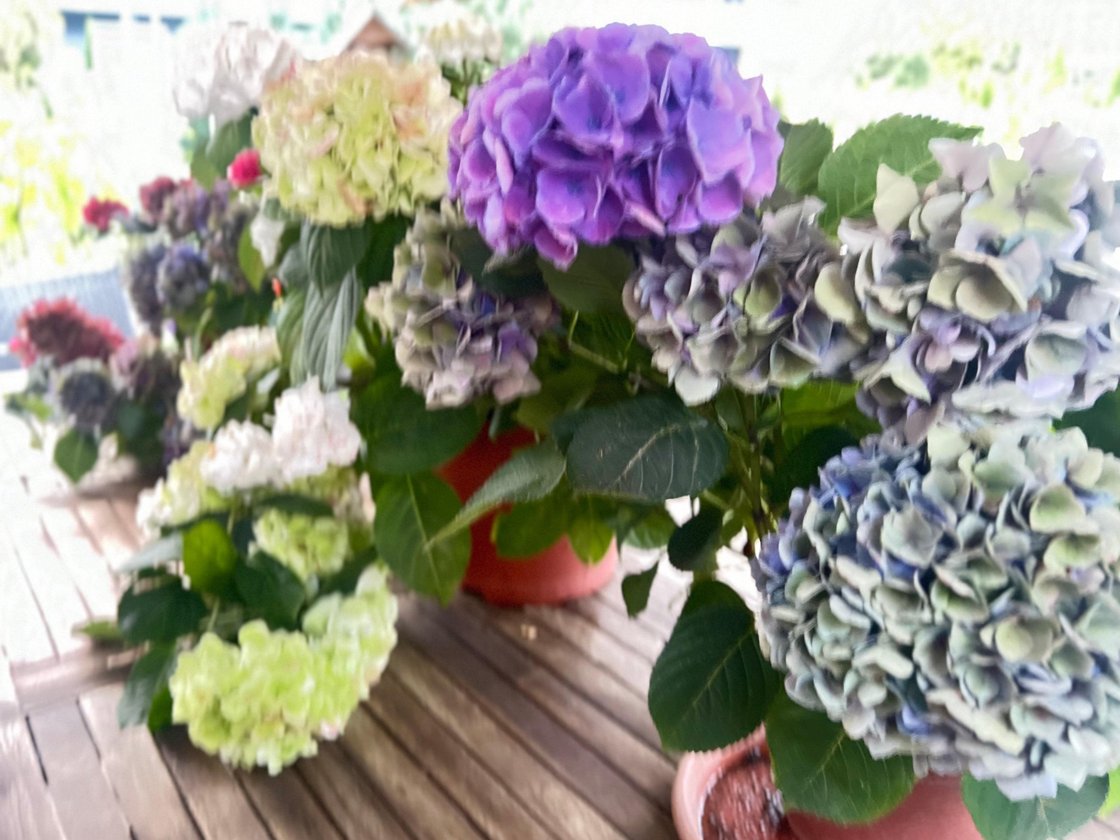 De nuestro Jardin a nuestros empaques