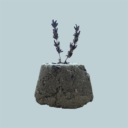 Flor y Carbon-Jabón Biologique &amp; Artisanal